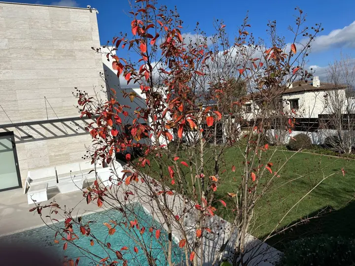 Piscina y jardín · 2022